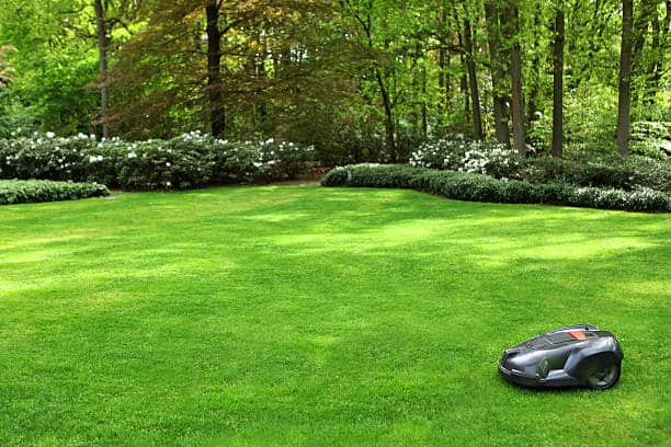 robot tondeuse pelouse